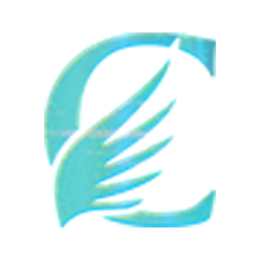 icon CICI606